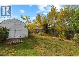 5205b 52 Avenue, Camrose, AB T4V4M3 Photo 19