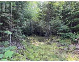 586 West Porters Lake Road, Porters Lake, NS B3E1K5 Photo 44