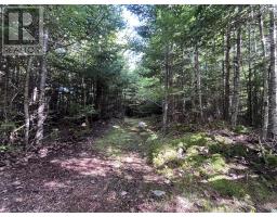 586 West Porters Lake Road, Porters Lake, NS B3E1K5 Photo 45