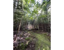 586 West Porters Lake Road, Porters Lake, NS B3E1K5 Photo 46