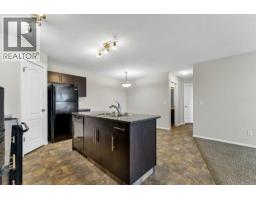 337 Southlands Pointe Se, Medicine Hat, AB T1B0M5 Photo 18