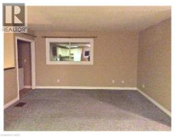 26 Terrace Hill Street, Brantford, ON N3R1E9 Photo 44