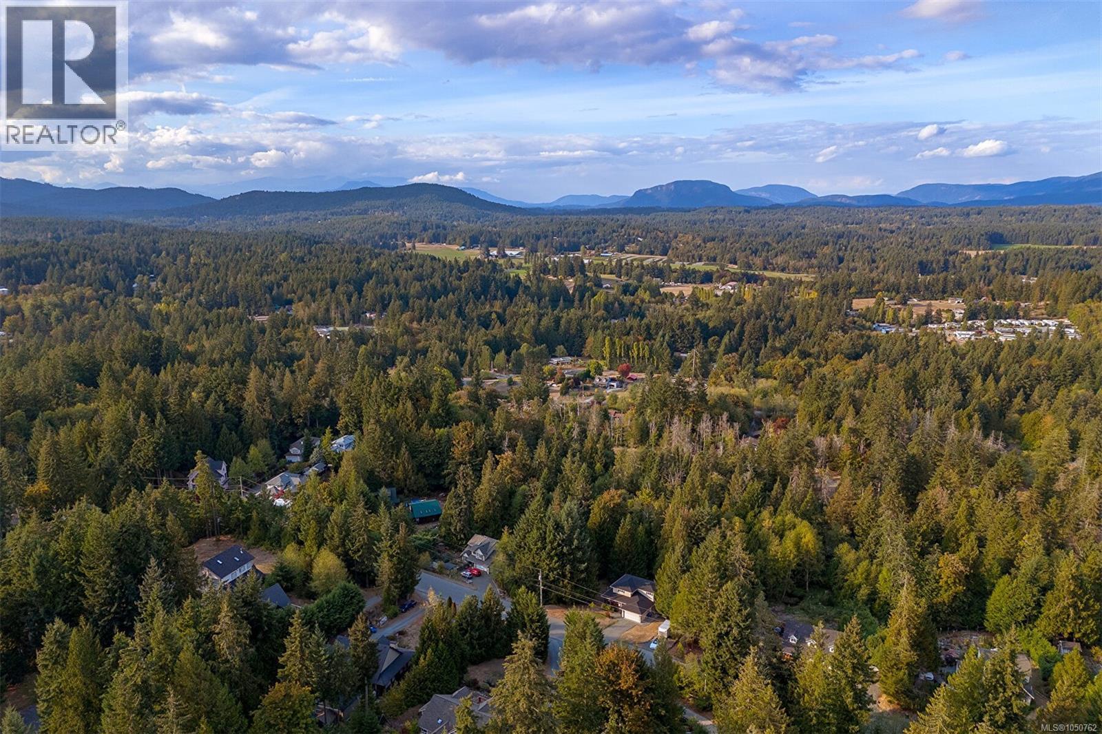 1111 Fern Ridge Dr - Image 59