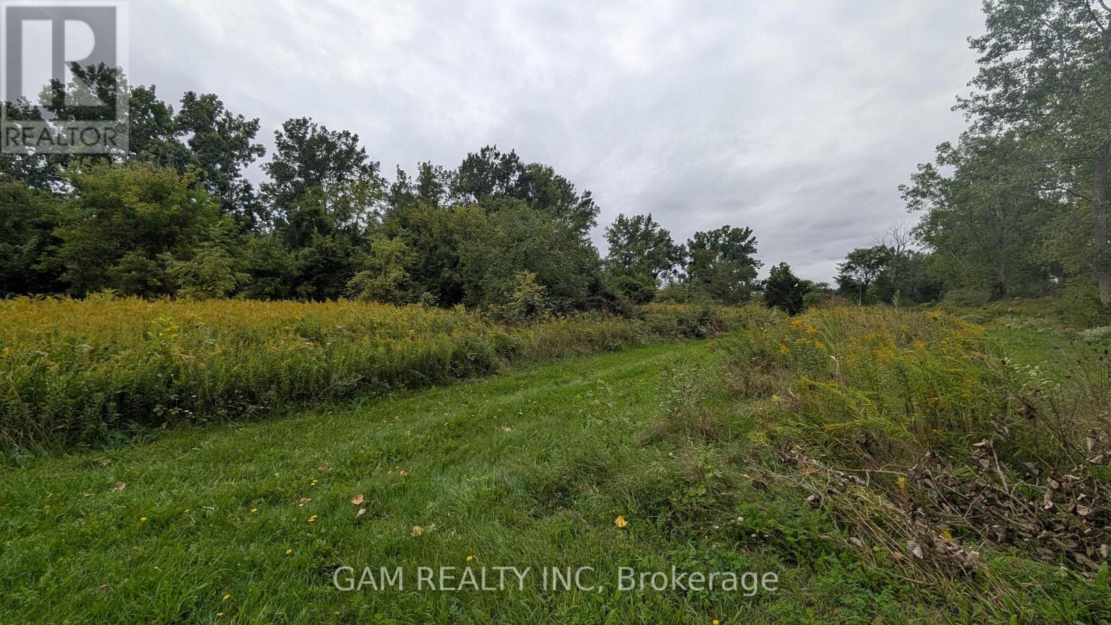 V/L COUNTY ROAD 46 ROAD, Lakeshore