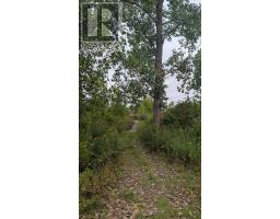 V/l County Road 46 Road, Lakeshore, ON N0P1J0 Photo 10