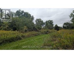 V/l County Road 46 Road, Lakeshore, ON N0P1J0 Photo 6