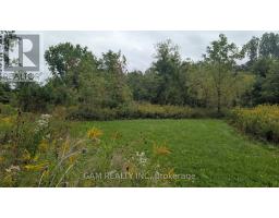 V/l County Road 46 Road, Lakeshore, ON N0P1J0 Photo 7