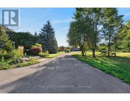 Recreational, Games room - 19 Mcconachie Crescent, Caledon, ON L7K0B9 Photo 7