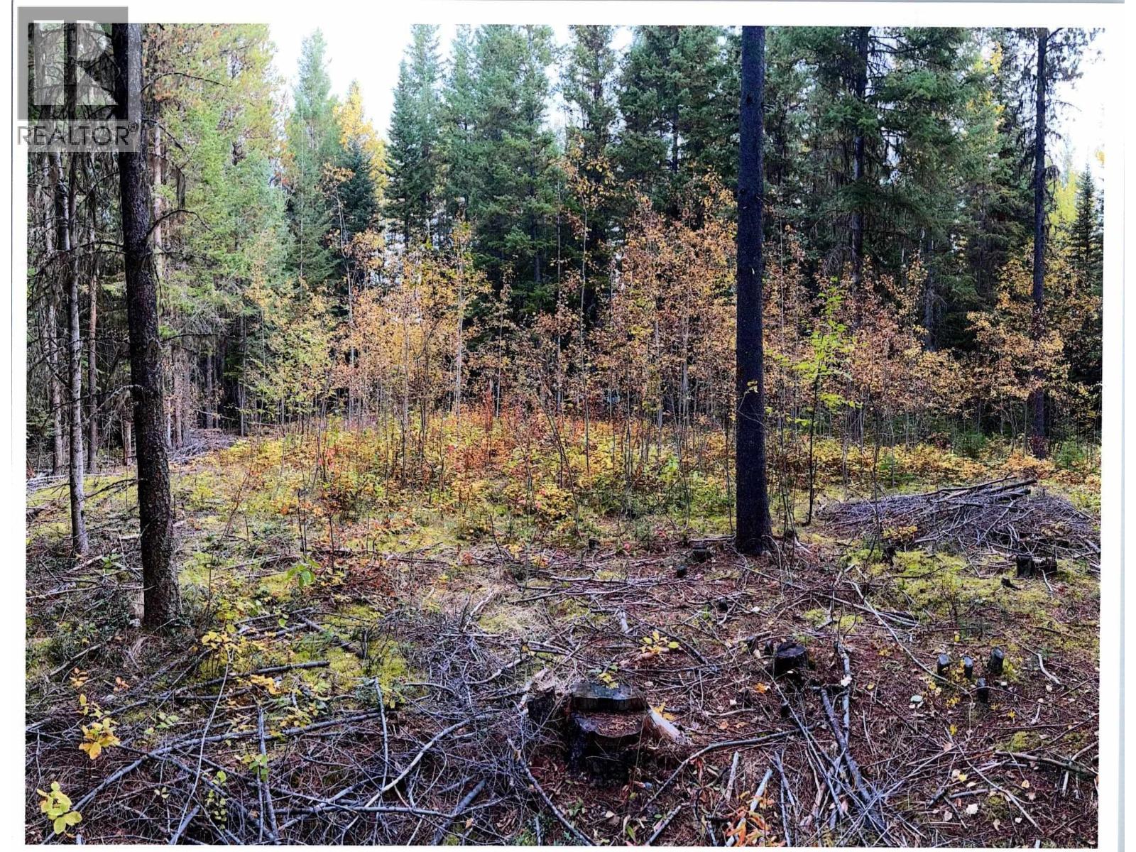 LOT 4 POLLARD Road, Quesnel - Image 1