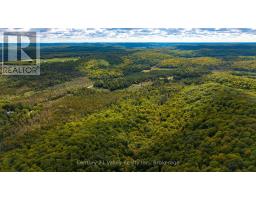 1998 Matawatchan Road, Greater Madawaska, ON K0J2R0 Photo 11