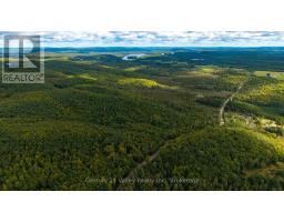 1998 Matawatchan Road, Greater Madawaska, ON K0J2R0 Photo 20