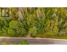 1998 Matawatchan Road, Greater Madawaska, ON K0J2R0 Photo 33