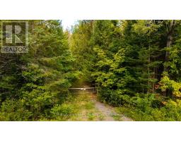 1998 Matawatchan Road, Greater Madawaska, ON K0J2R0 Photo 34