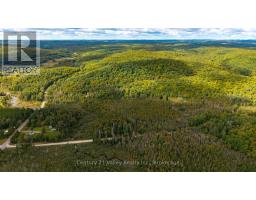 1998 Matawatchan Road, Greater Madawaska, ON K0J2R0 Photo 36