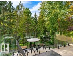 445 Osborne Cr Nw, Edmonton, AB T6R2C3 Photo 63
