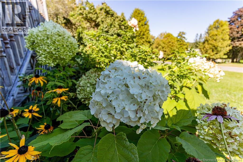 49 Yeomans Road - Image 41