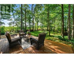 18061 Highway 48, East Gwillimbury, ON L0G1E0 Photo 34