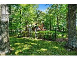 18061 Highway 48, East Gwillimbury, ON L0G1E0 Photo 38