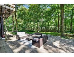 18061 Highway 48, East Gwillimbury, ON L0G1E0 Photo 41