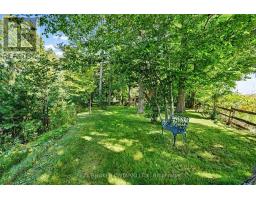 18061 Highway 48, East Gwillimbury, ON L0G1E0 Photo 40