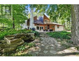 18061 Highway 48, East Gwillimbury, ON L0G1E0 Photo 43