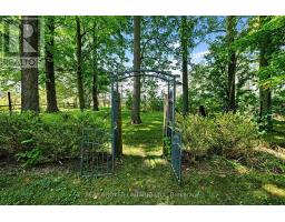 18061 Highway 48, East Gwillimbury, ON L0G1E0 Photo 39