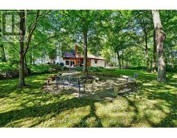 18061 Highway 48, East Gwillimbury, ON L0G1E0 Photo 44