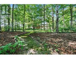 18061 Highway 48, East Gwillimbury, ON L0G1E0 Photo 47