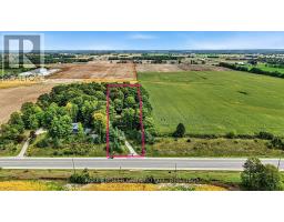 18061 Highway 48, East Gwillimbury, ON L0G1E0 Photo 49