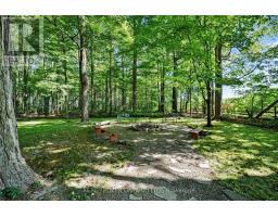 18061 Highway 48, East Gwillimbury, ON L0G1E0 Photo 46