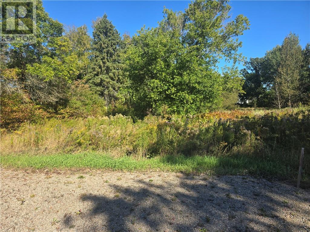470 Imperial Road S, Massey — photo 6
