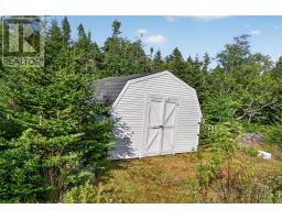 0 Dam Pond Road, Brigus Junction, NL A0B1G0 Photo 24