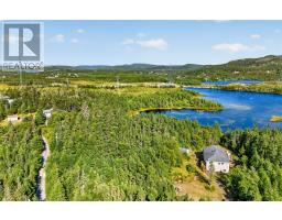0 Dam Pond Road, Brigus Junction, NL A0B1G0 Photo 27