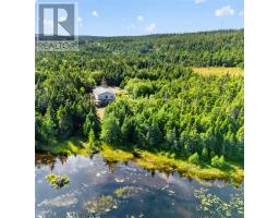 0 Dam Pond Road, Brigus Junction, NL A0B1G0 Photo 28