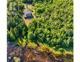 0 Dam Pond Road, Brigus Junction, NL A0B1G0 Photo 29