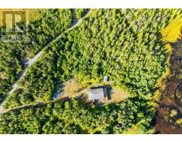 0 Dam Pond Road, Brigus Junction, NL A0B1G0 Photo 30