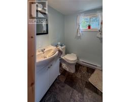 0 Dam Pond Road, Brigus Junction, NL A0B1G0 Photo 34