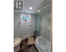 0 Dam Pond Road, Brigus Junction, NL A0B1G0 Photo 35