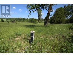605303 13a Side Road, Grey Highlands, ON N0H1H0 Photo 14