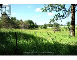 605303 13a Side Road, Grey Highlands, ON N0H1H0 Photo 19