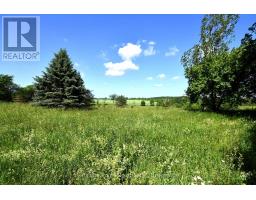 605303 13a Side Road, Grey Highlands, ON N0H1H0 Photo 23