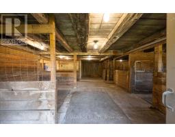 1438 Concession 3 Road, Adjala Tosorontio, ON L0N1P0 Photo 39