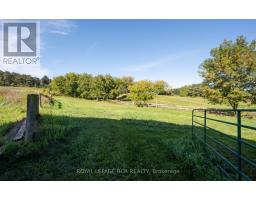 1438 Concession 3 Road, Adjala Tosorontio, ON L0N1P0 Photo 44