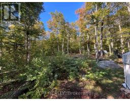 0 Island Lake, Lot 23 Road, Kearney, ON P0A1M0 Photo 7