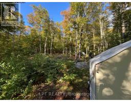 0 Island Lake, Lot 23 Road, Kearney, ON P0A1M0 Photo 8