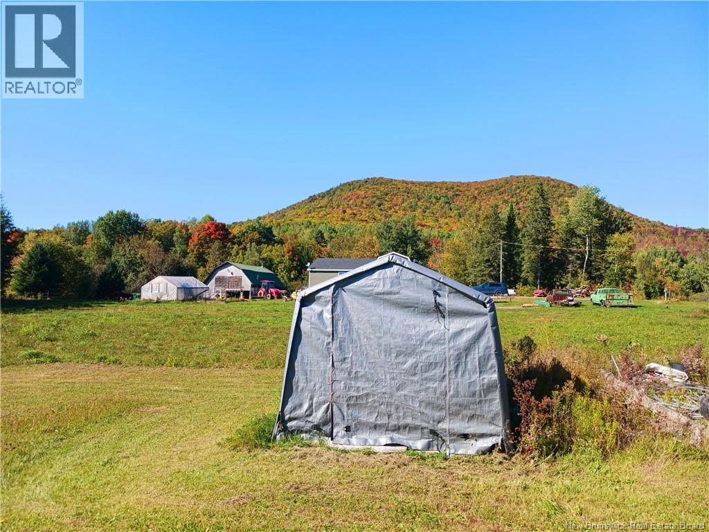 11 Moose Mountian Road - 11