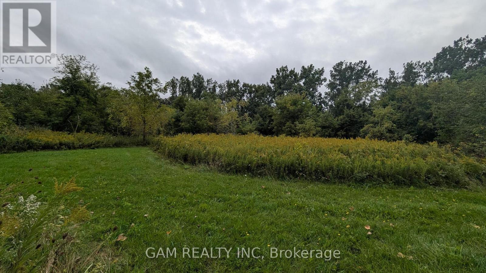 V/L COUNTY ROAD 46 ROAD, Lakeshore — photo 4