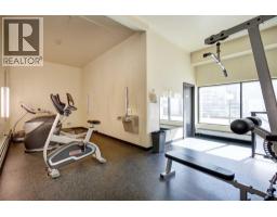 Storage - 2802, 221 6 Avenue Se, Calgary, AB T2G4Z9 Photo 7