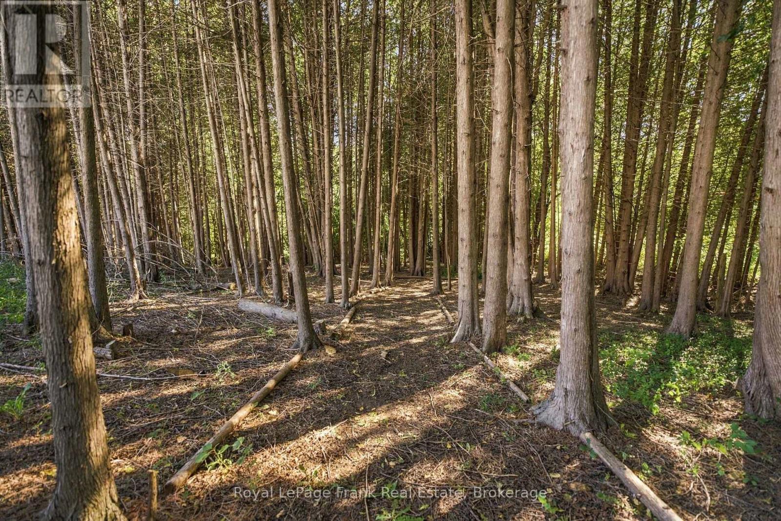 2223 CONCESSION ROAD 7 ROAD - 48