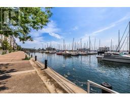 905 - 90 Stadium Road, Toronto, ON M5V3W5 Photo 33